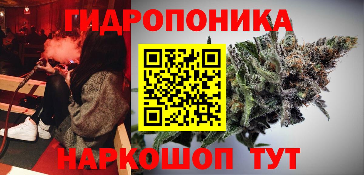 Конопля семена  Бошки Шишки MAZAR  Заволжье  Вход с VPN  МАРИХУАНА тримм 